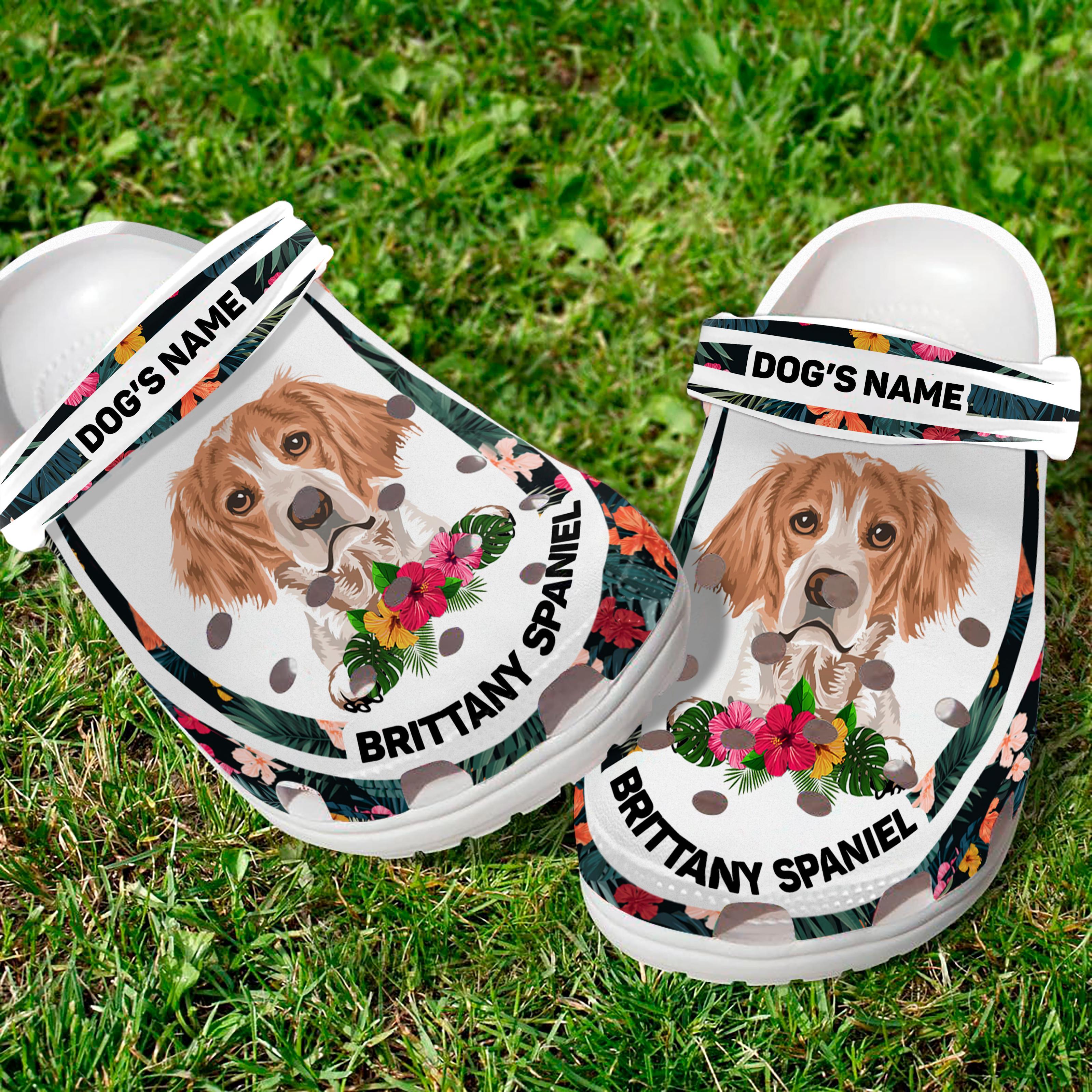 Merchidea Brittany Spaniel Dog Crocs Crocband Clogs Shoes Comfortable For Men Women and Kids