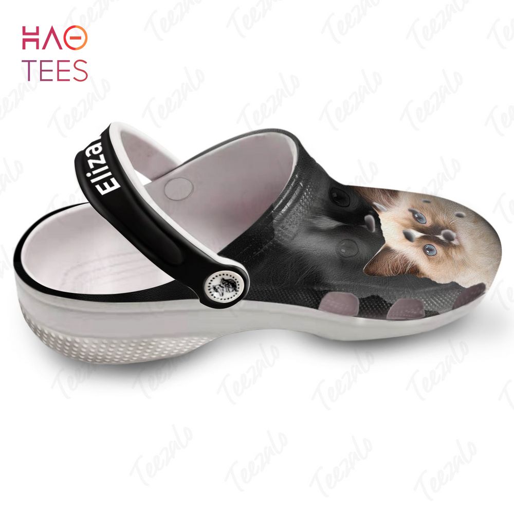 Merchidea Cat With Beautiful Eyes Animal Crocs Crocband Clogs Shoes Comfortable For Men Women and Kids