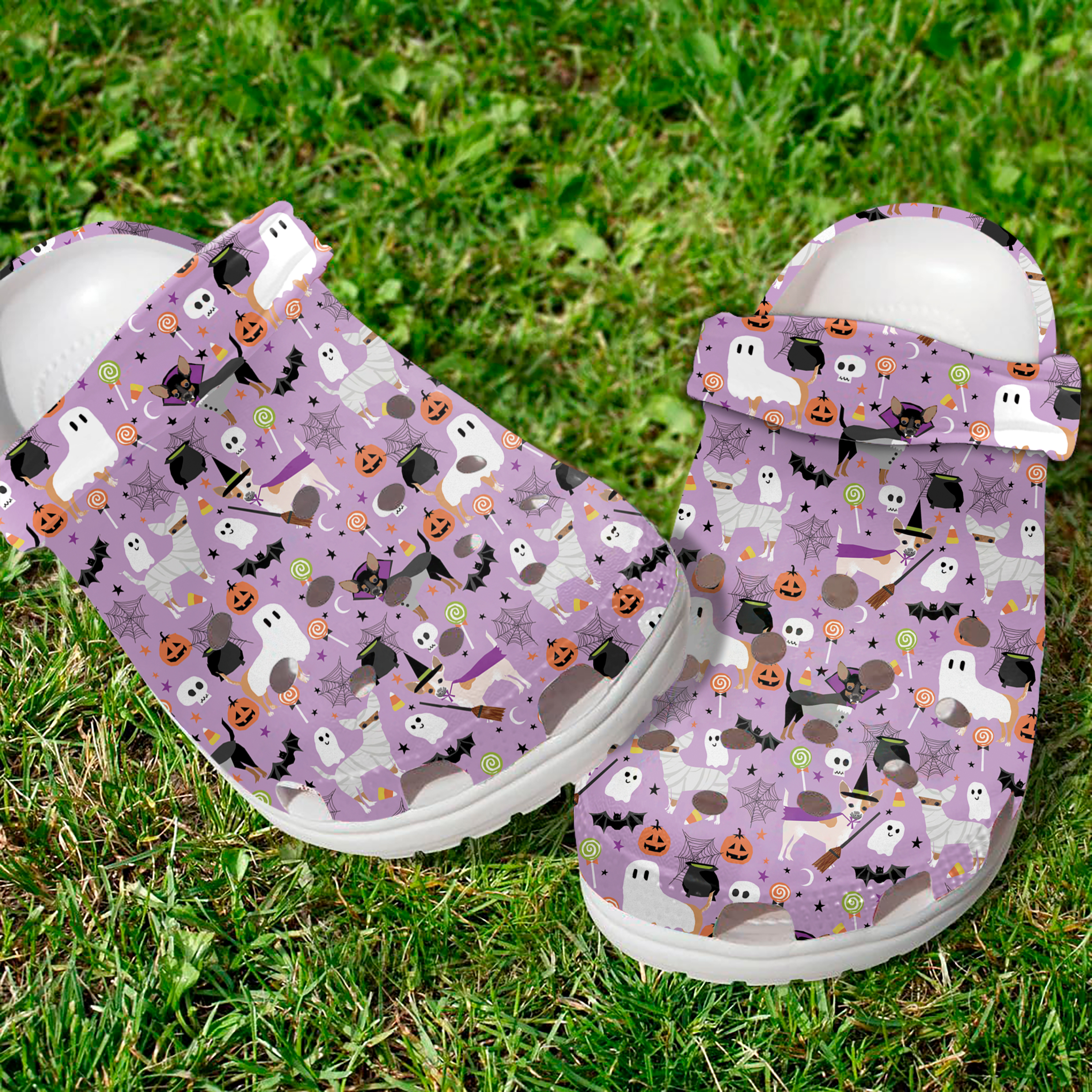 Merchidea Chihuahua Animal Crocs Crocband Clogs Shoes Comfortable For Men Women and Kids