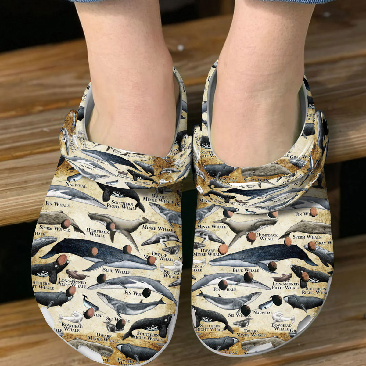 Merchidea Whales Of The World Crocs Crocband Clogs Shoes Comfortable For Men Women and Kids