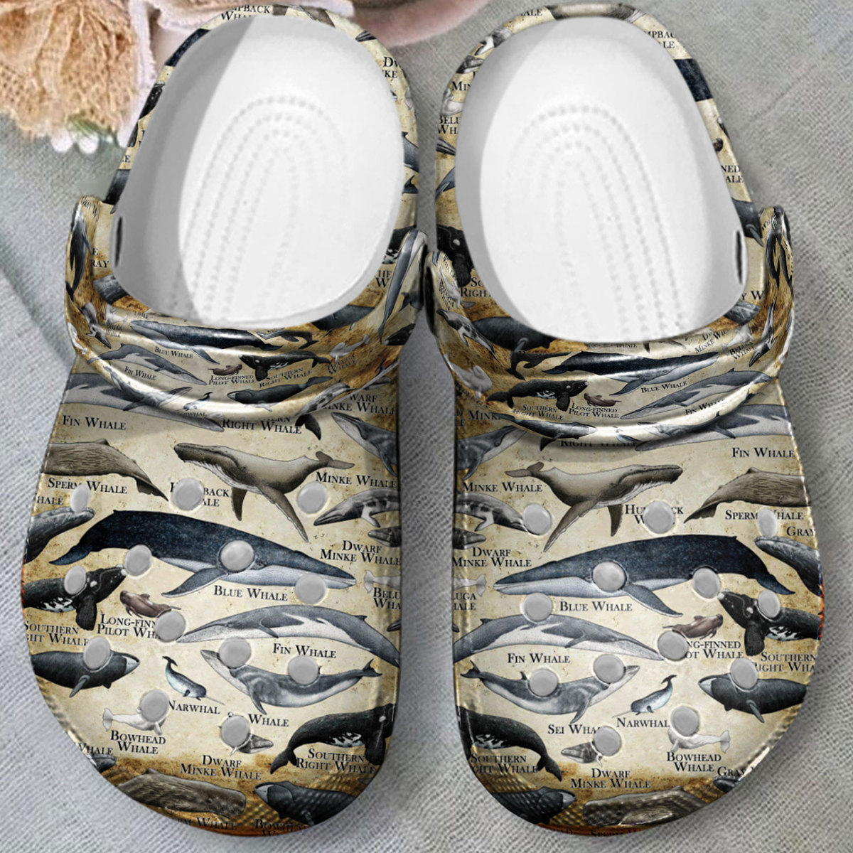 Merchidea Whales Of The World Crocs Crocband Clogs Shoes Comfortable For Men Women and Kids